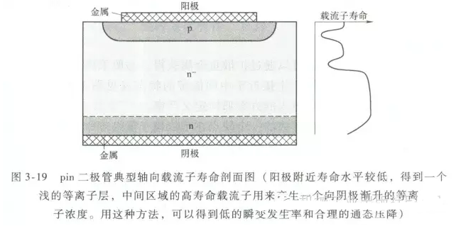 图2 pin二极管典型轴向载流子寿命剖面图