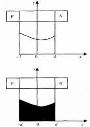 图4 SD二极管浓度分布示意图