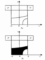 图6 N-区通态浓度分布示意图
