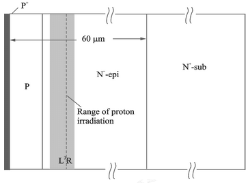图1 样管结构示意图