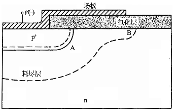 图1 场板基本结构示意图