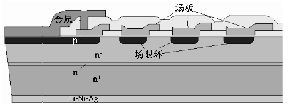 图4 FRED终端结构截面示意图