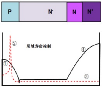 垂直方向浓度分布及载流子寿命分布示意图