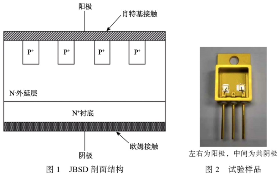 图2 试验样品